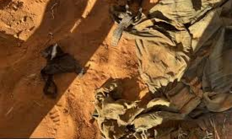 සිරුරු 07ක මිනිස් ඇටසැකිලි එකම තැනකින් හමුවෙයි... සමූහ මිනී වලක් දැයි සැකයක්