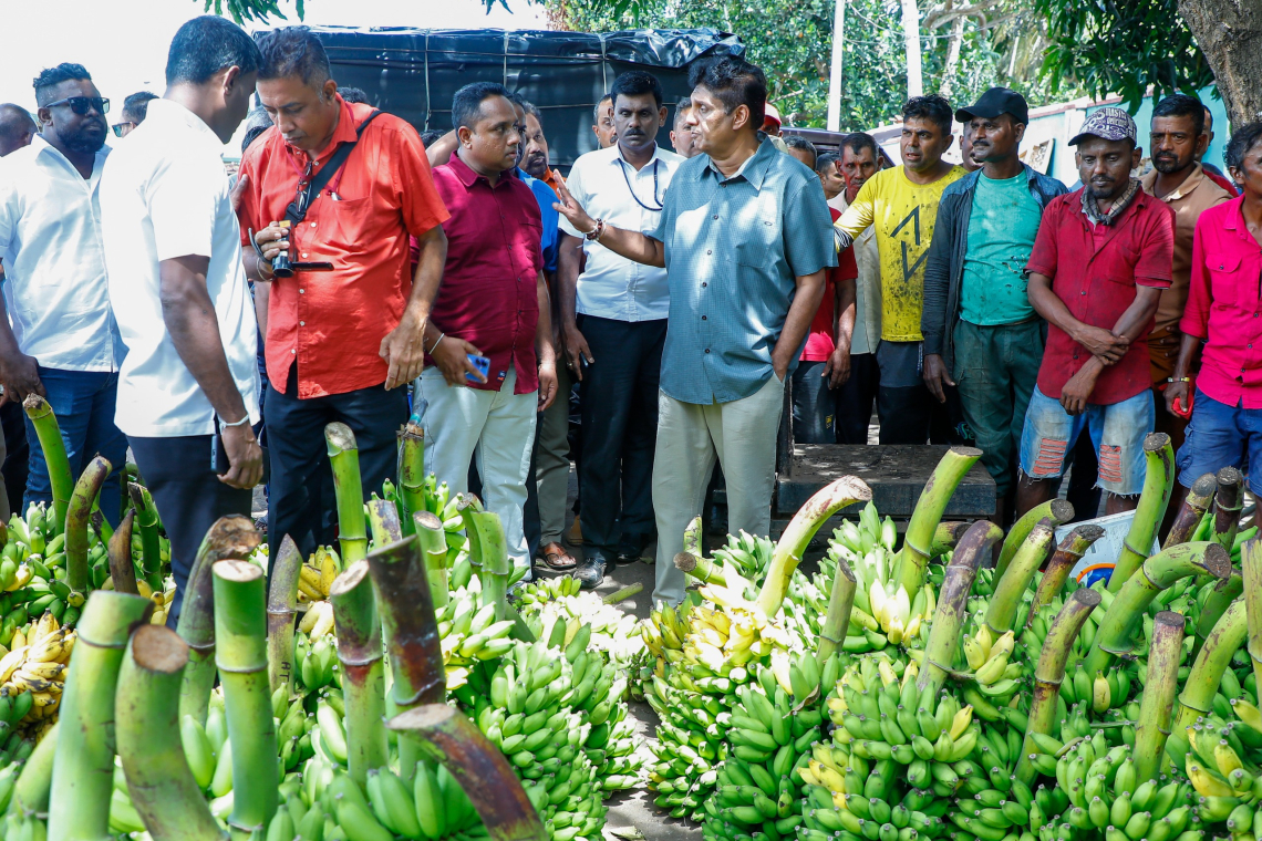 ආර්ථික මධ්‍යස්ථාන සමාගමකට දෙනවාට ගොවීන්-ව්‍යාපාරිකයන් විරුද්ධයි--සජිත්