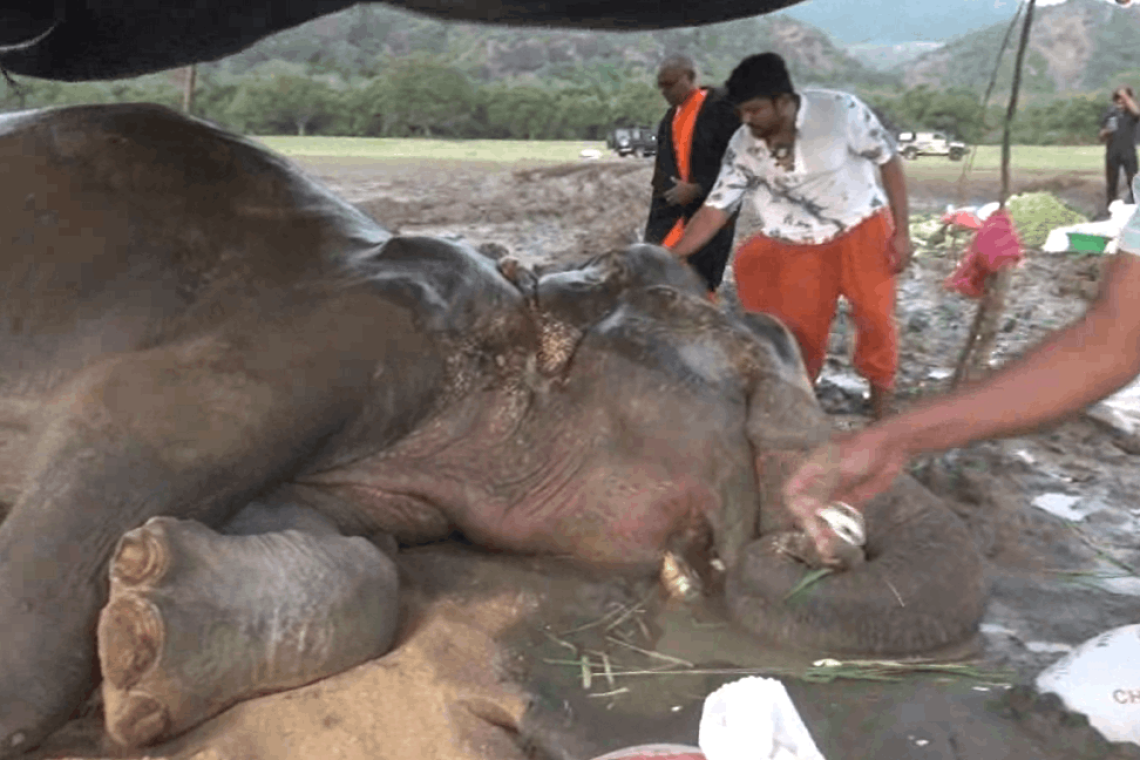 කණ්ඩලමේ හැඩකාරයා මිය යයි...