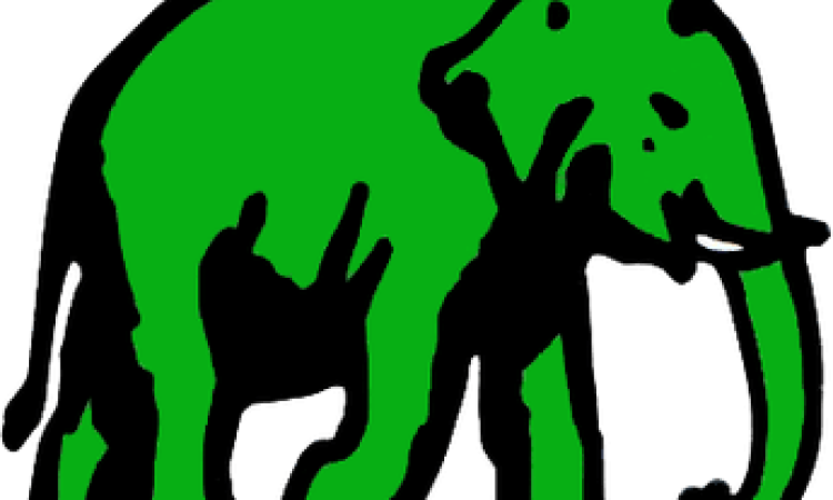 එජාපයේ සැලොන් දොර අරී