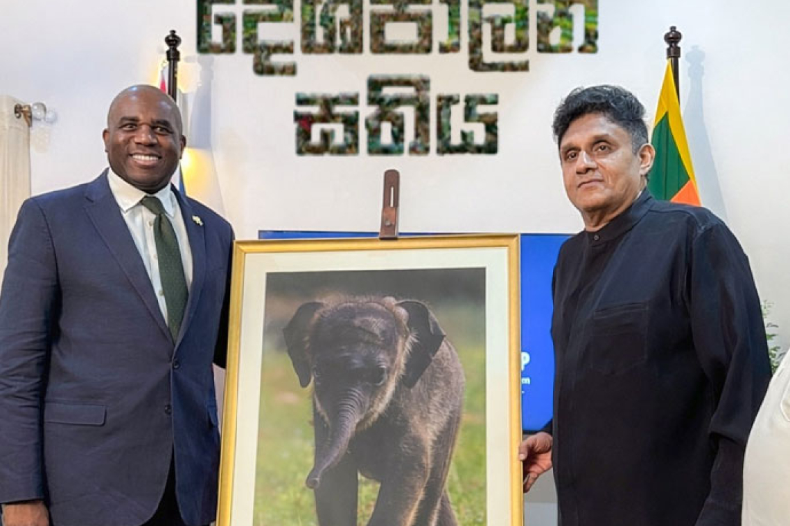 සජිත් ගේ දේශපාලන සතිය - ගල්අඟුරු ටෙන්ඩරයෙන් දැළි; ගෑස් ටෙන්ඩරයෙන් ගිනි; දැන් ආණ්ඩුවට සොරි…