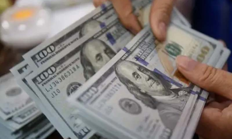 මහා භාණ්ඩාගාරයේ ඩොලර් මිලියන 2.5ක ගෙවීම පිළිබඳ විමර්ශනයක් වහා සිදු කළ යුතුයි - 'දිනණ දකුණ' සාමූහිකය